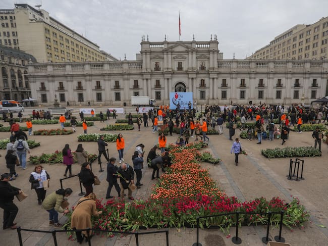 Día del Tulipán en Chile