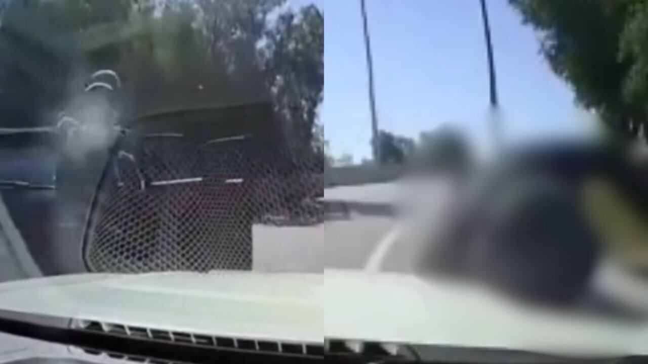 Capturas