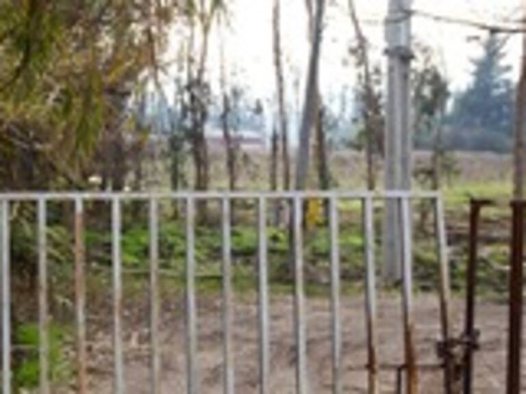 Tribunal Ambiental autoriza clausurar parcialmente granja de cerdos Porkland de Til Til