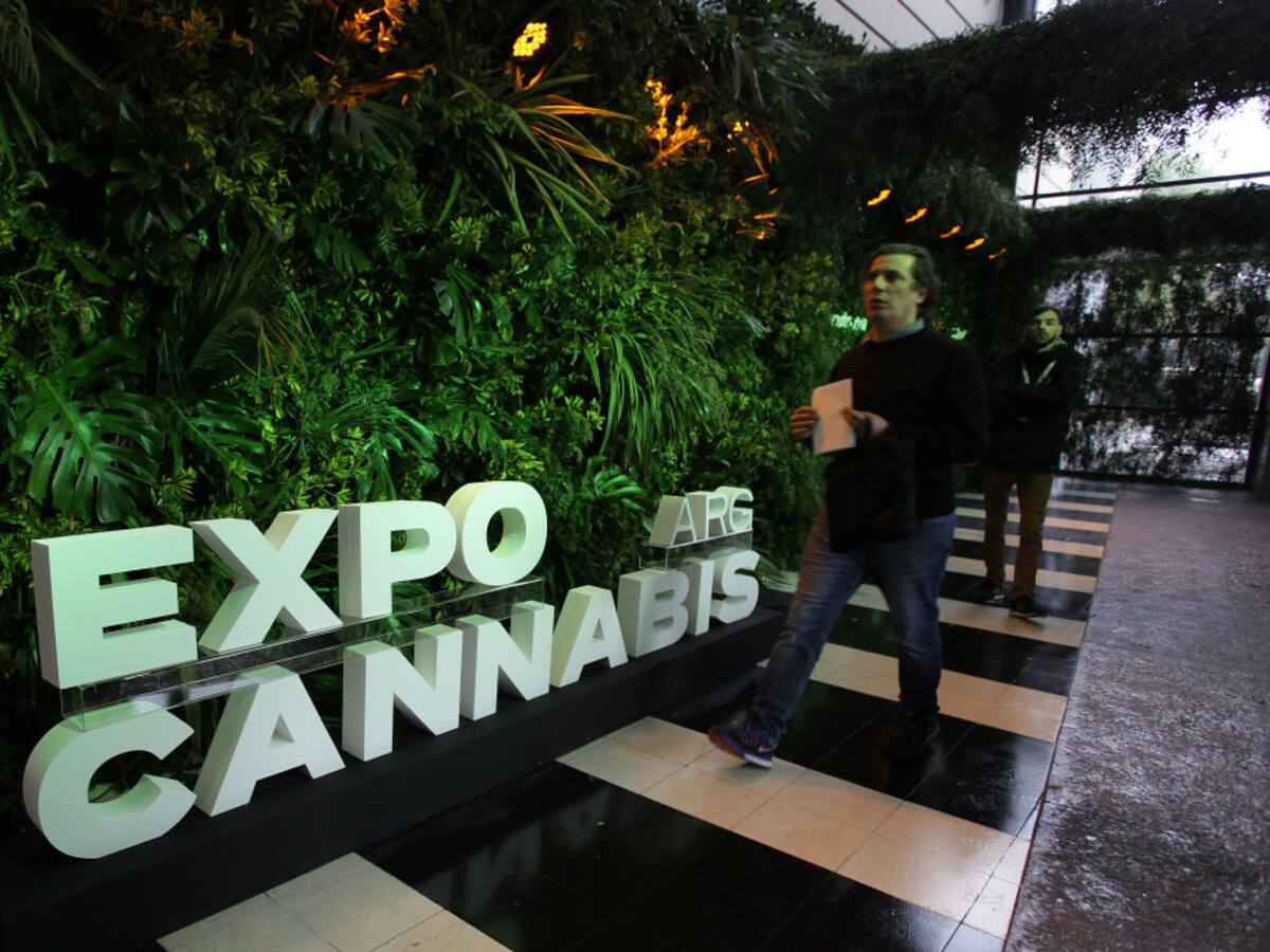 Presidente de Argentina promulgó la ley que regula el cannabis medicinal y el cáñamo industrial
