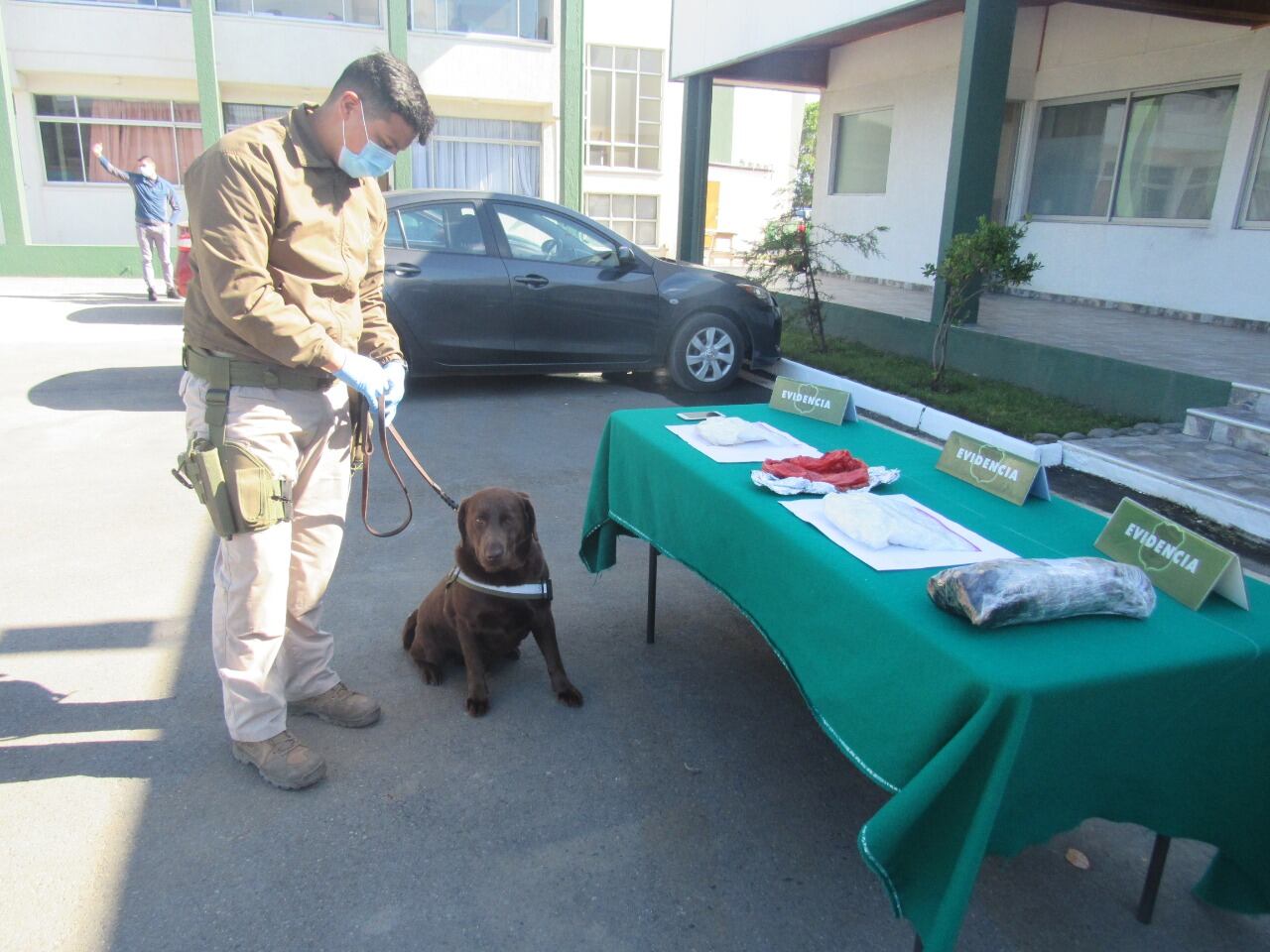 Carabineros