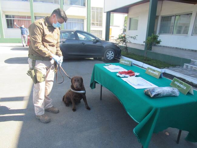 Carabineros