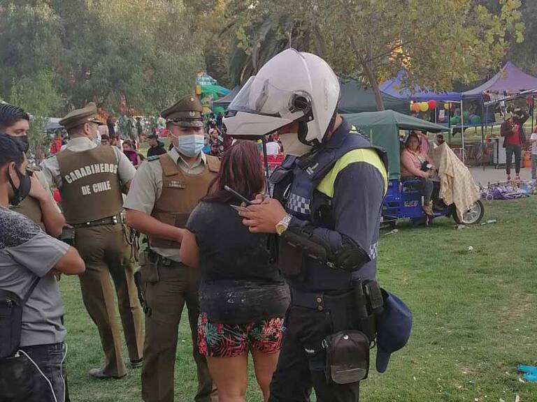 Árbol en Parque Los Reyes