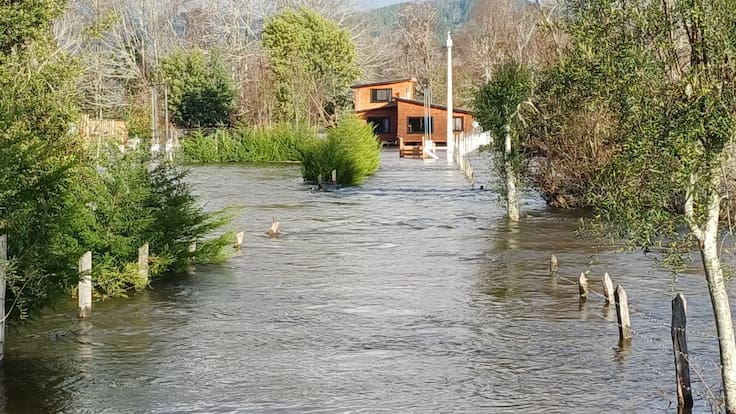 Lluvias en Chile: agricultores advierten posibles alzas y comercio estima pérdidas por US$300 millones