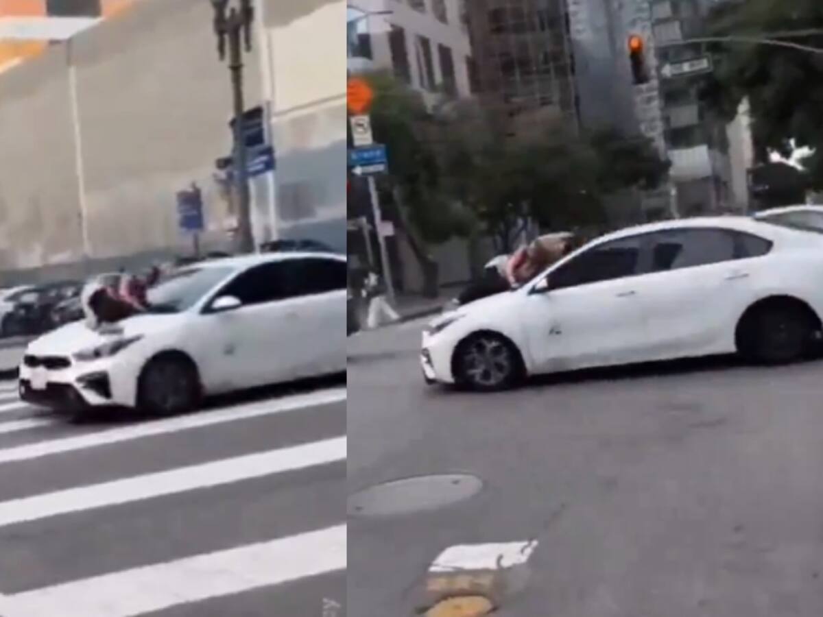 “Me robaron a mi hijo”: mujer se aferra a auto en movimiento para evitar el robo de su perro en Estados Unidos