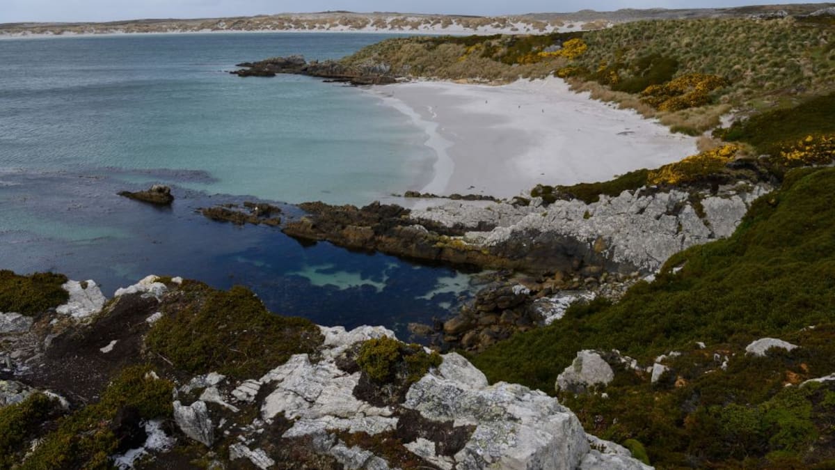 Cadena de supermercados británica desafía a Javier Milei y anuncia inédita apertura en las Malvinas