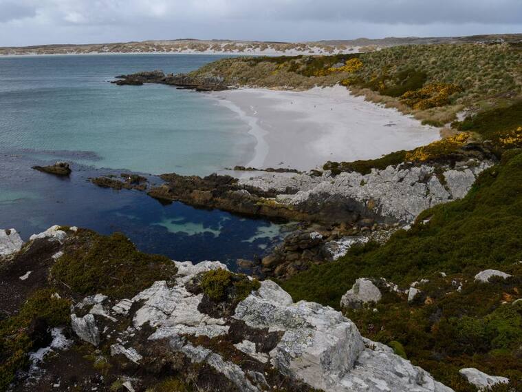 Una playa en las islas Malvinas que controla el Reino Unido