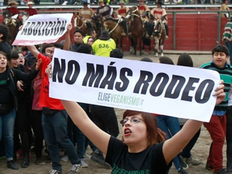 Federación del Rodeo Chileno entregó cifras de animales heridos o lesionados en los eventos