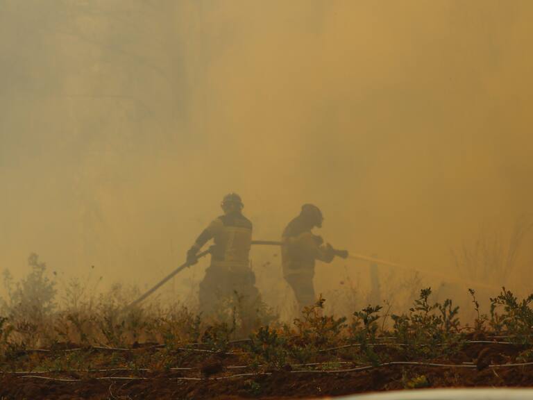 28 de Diciembre 2021/ CHILLAN.
Bomberos de Ñuble combaten foco de incendio que amenaza con destruir un huerto de Berries emplazado en el sector Perales de la comuna de Quillón, en el marco del siniestro que consume más de 2100 hectáreas en la Región de Ñuble.
FOTO: JOSÉ CAMPOS / AGENCIA UNO