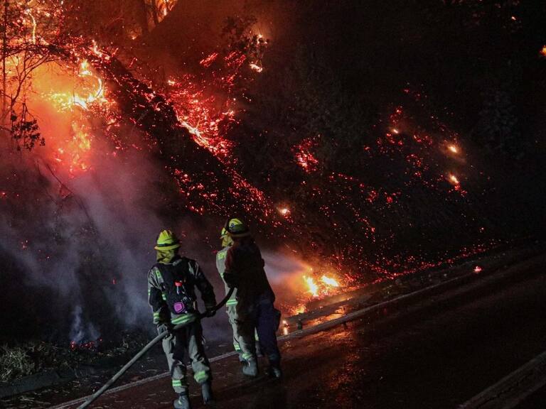 CMPC estima en más de 22.500 las hectáreas de la compañía afectadas por los incendios forestales