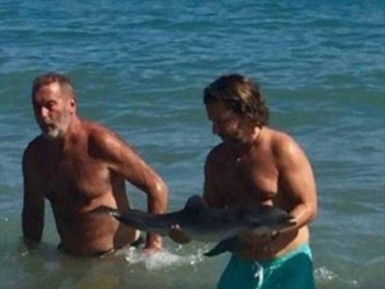 Cría de delfín muere en España: No pudo soportar el acoso provocado por selfies de turistas