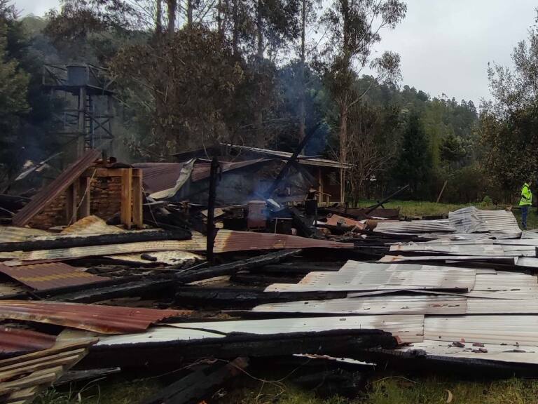 CAM se adjudica atentado incendiario registrado en la Reserva Nacional Malleco en la comuna de Collipulli