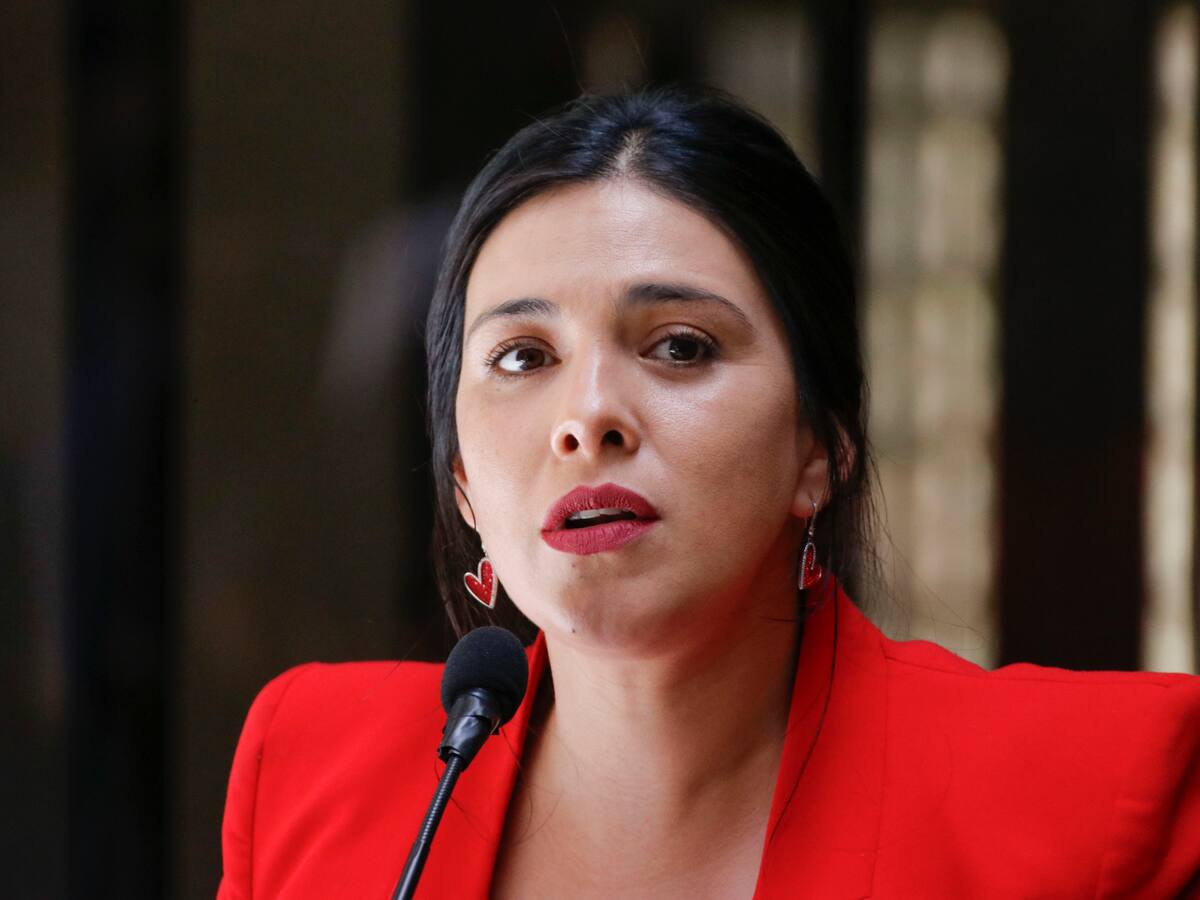 Diputada Karol Cariola acude a la CIDH tras allanamiento: “Mi hijo y yo fuimos víctimas de violación de nuestros derechos”