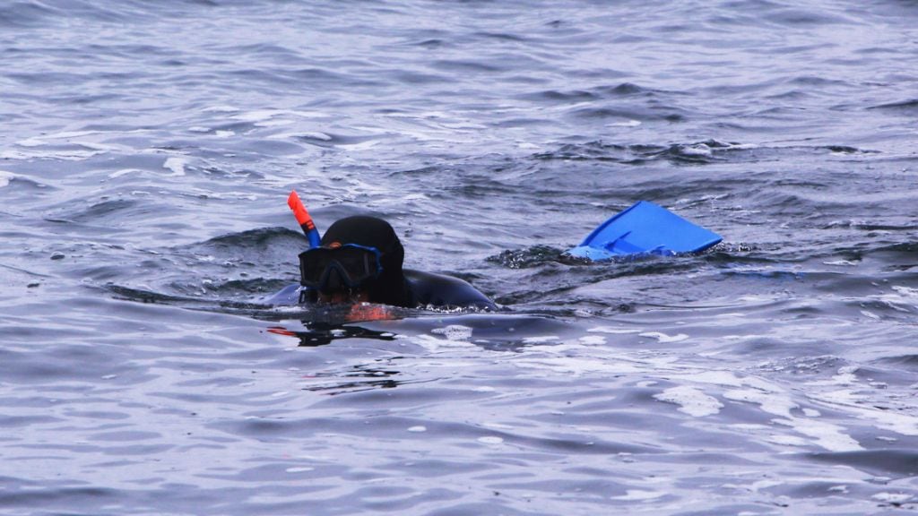 personas arrastradas por el mar en Tomé - desaparecidos