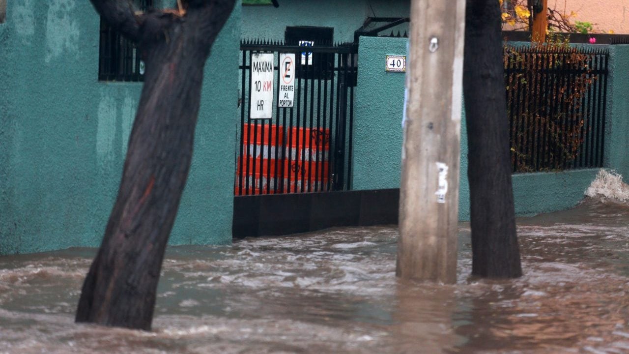 29 de Junio del 2020/ SANTIAGO
Un portn con refuerzo metlico para que no ingrese el agua a edificios, tras intensas lluvia que se presentaron en la capital la madrugada de este Lunes anegando avenida Vicua Mackenna con Vicente Valdes en la comuna de La Florida , en medio de la pandemia de COVID-19.
Fotos: JOSE FRANCISCO ZòIGA/ AGENCIAUNO