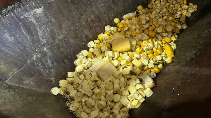 Purranque: decomisan 1.458 kilos de queso de dos fábricas clandestinas