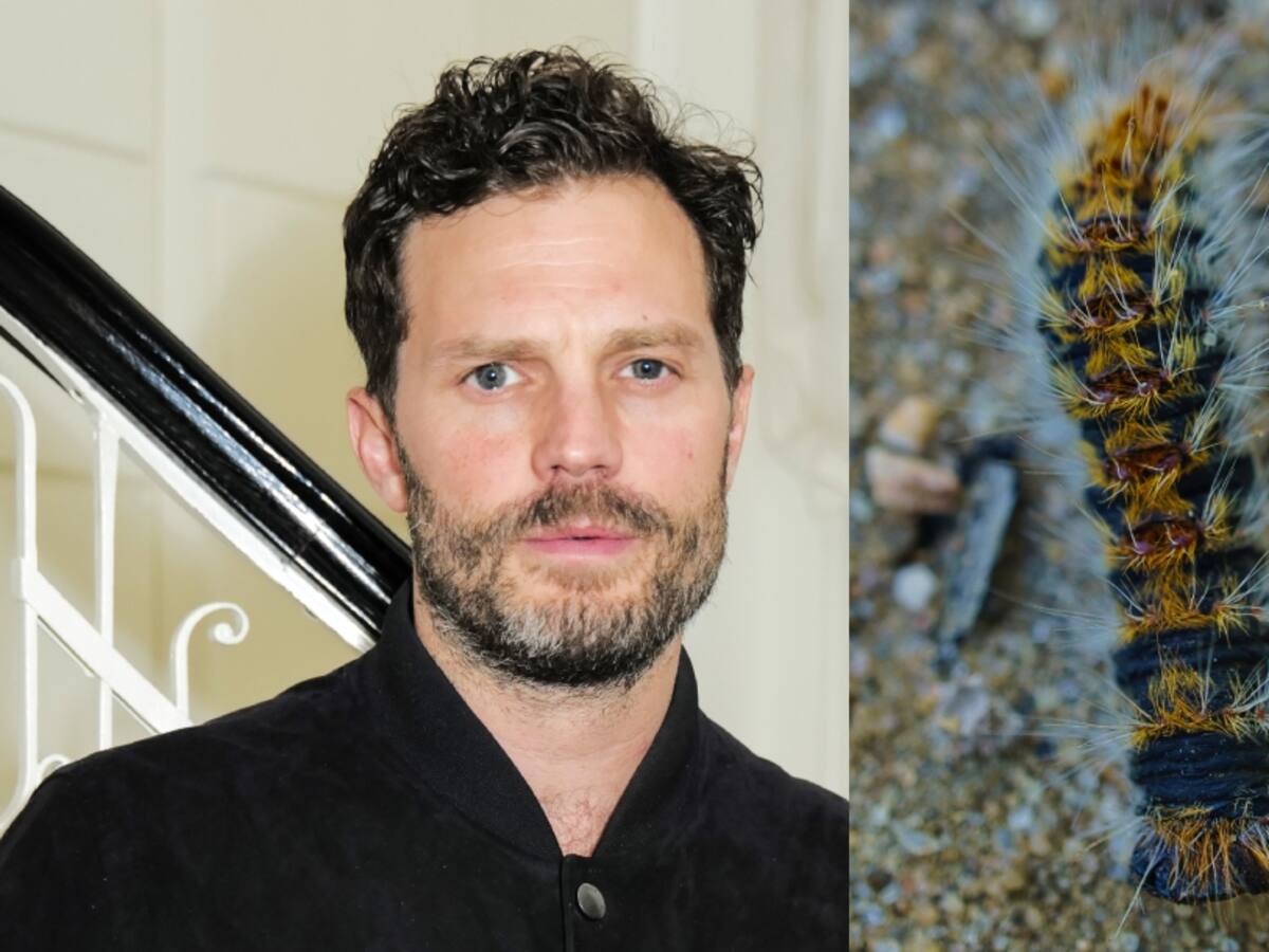 ¡Por una oruga! Reconocido actor de Hollywood fue hospitalizado con síntomas de ataque cardíaco tras intoxicarse en Portugal