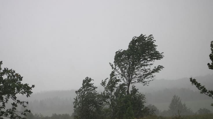 De hasta 60 km/h: fuertes vientos dejan más de 47 mil hogares sin luz y complican combate de incendios en La Araucanía