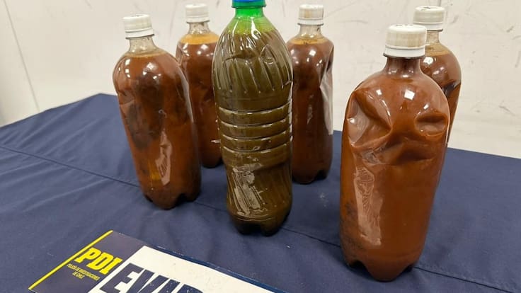 Detienen a sujeto que intentó ingresar seis botellas de ayahuasca al país: sustancia iba a ser utilizada en rituales de sanación