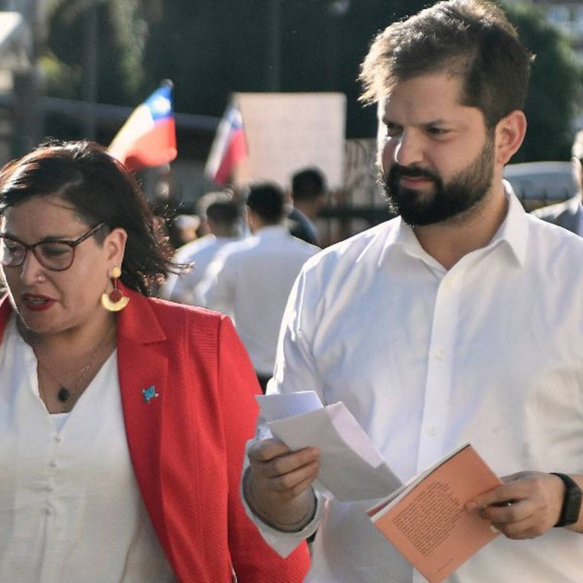 Comunidades mapuche de Los Ríos exigen renuncia de delegada presidencial por polémica aprobación de proyecto inmobiliario en Isla Teja