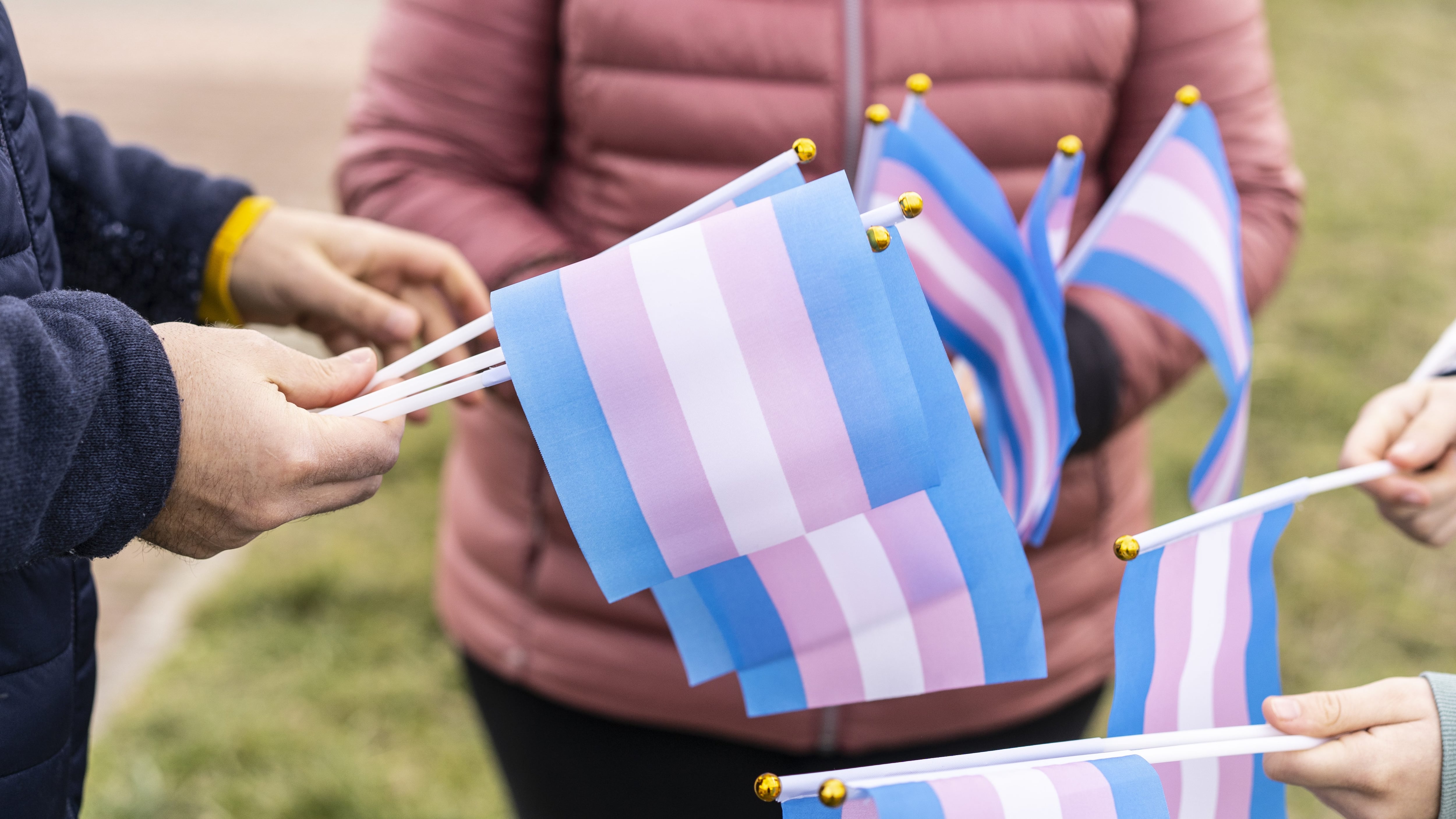 Different people counting thier transgender flags in preparation for a demonstration
