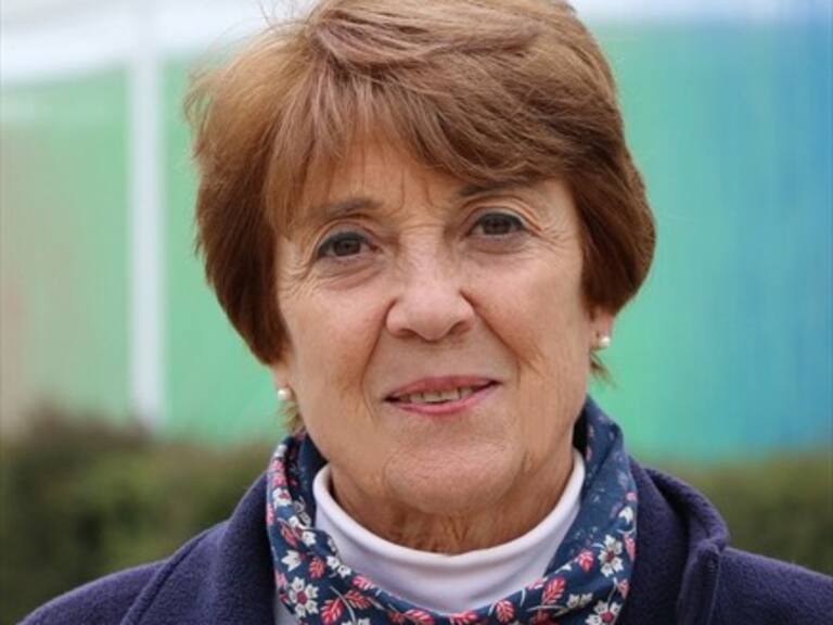 Consuelo Valdés Chadwick es la nueva ministra de Cultura