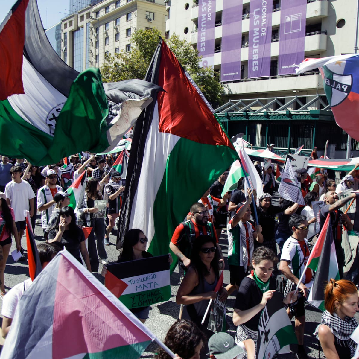 Día de la Amistad y Solidaridad Chileno-Palestina es aprobado entre aplausos