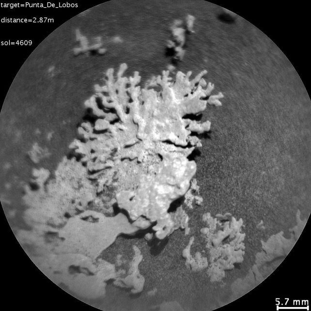 (NASA/JPL-Caltech/LANL/CNES/CNRS/IRAP/IAS/LPG)