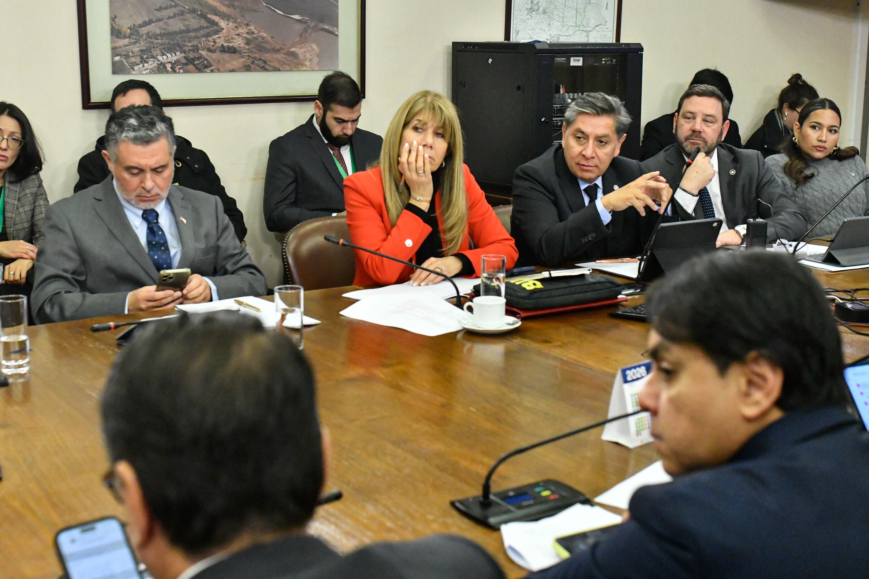 Ministra de energia Ximena Rincon