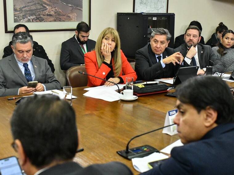 Ministra de energia Ximena Rincon