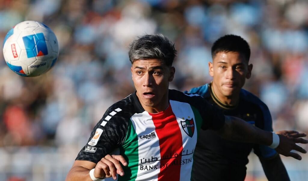 @palestino