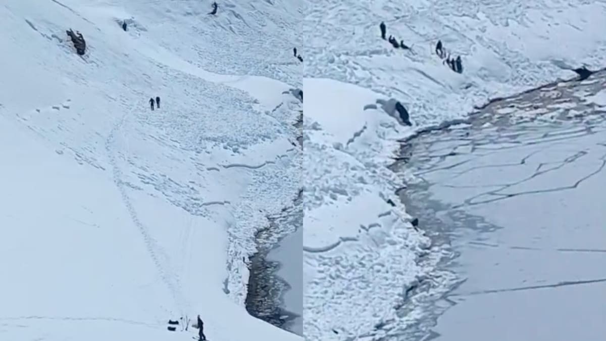 Avalancha en Portillo: autoridades rectifican cifra de muertos tras tragedia en región de Valparaíso