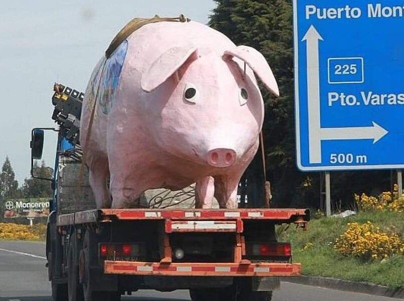 Puntero Izquierdo