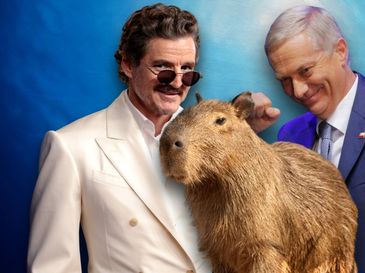 ¿Qué tienen en común Kast, Pedro Pascal y una capibara? Así evalúan los chilenos el 2025 según Cadem