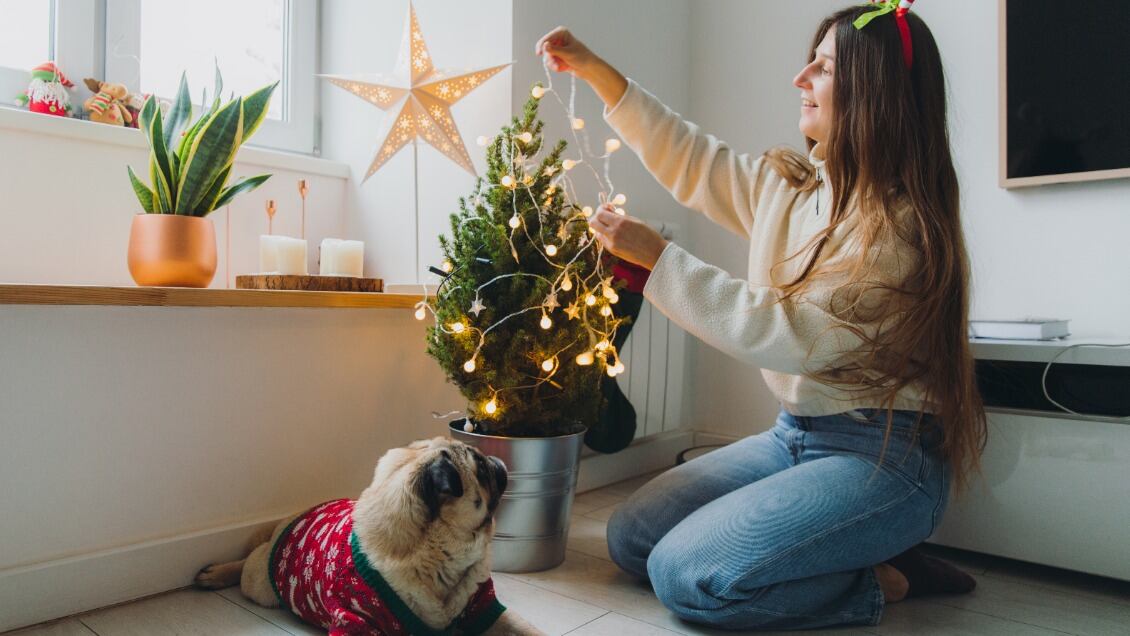 navidad