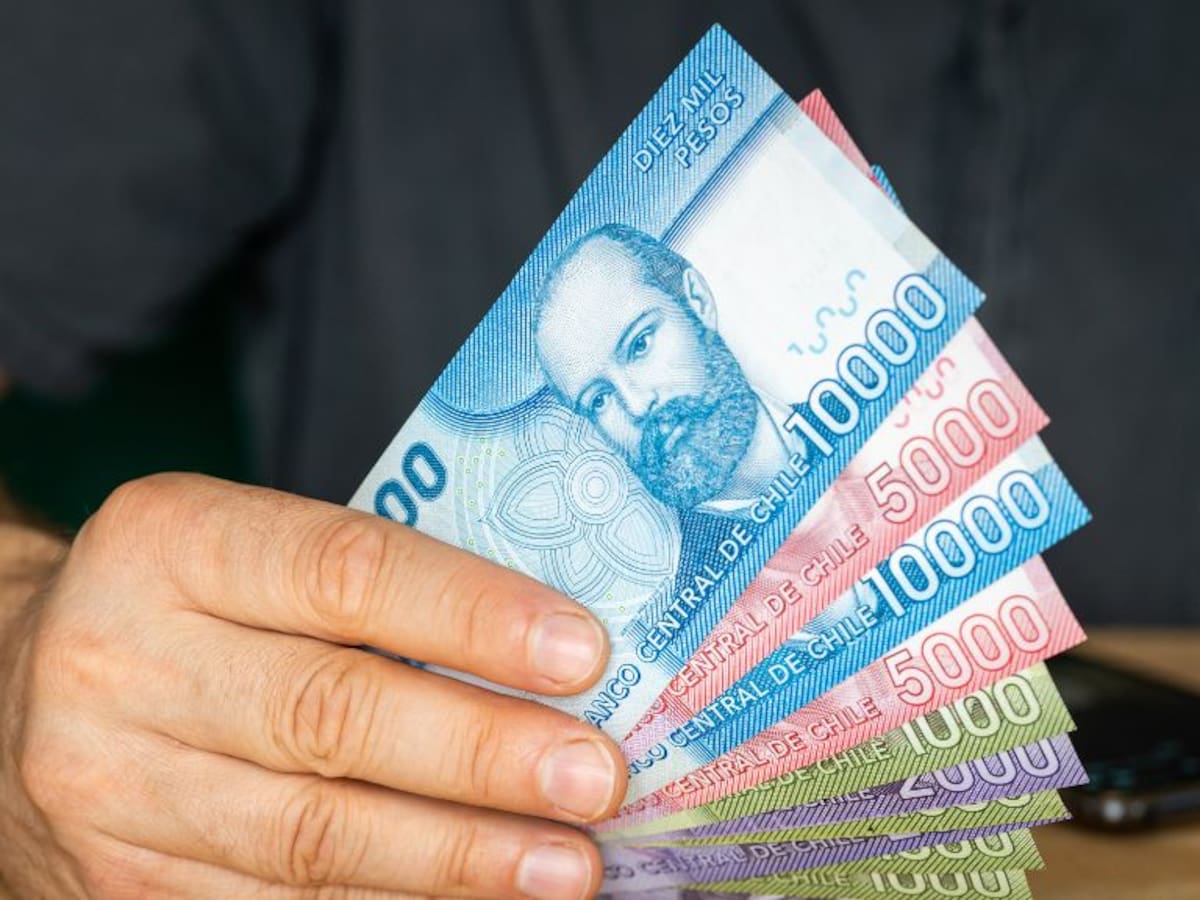 Cómo consultar con el Rut si existen pensiones u otros beneficios por cobrar