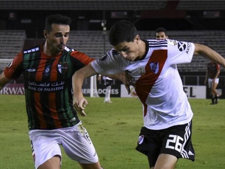 Hinchas de Palestino desplegaron mosaico con la bandera de Palestina