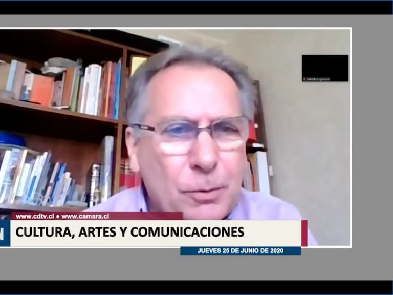 «Me gustaría saber qué es lo que hacen»: Parlamentario cuestiona a grupo Cómo Asesinar a Felipes en plena sesión de la comisión de Cultura de la Cámara de Diputados