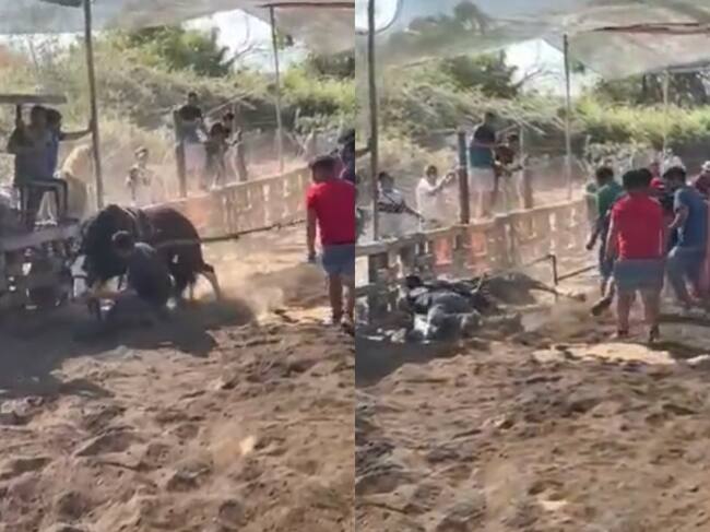 Maltrato animal en Quilicura