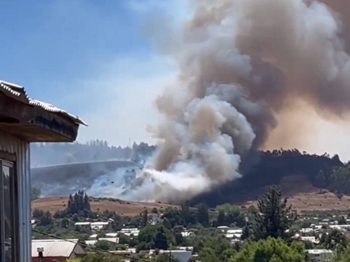 “Presenta cercanía a sectores habitados”: declaran Alerta Roja en una comuna de La Araucanía por incendio forestal