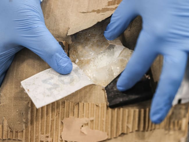 Bolivia informó el decomiso de casi nueve millones de toneladas de cocaína
