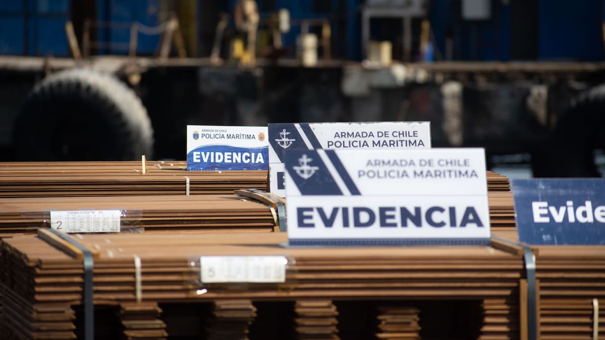 Informes del ISP abren dudas sobre histórica incautación de “narcomadera” proveniente de Bolivia