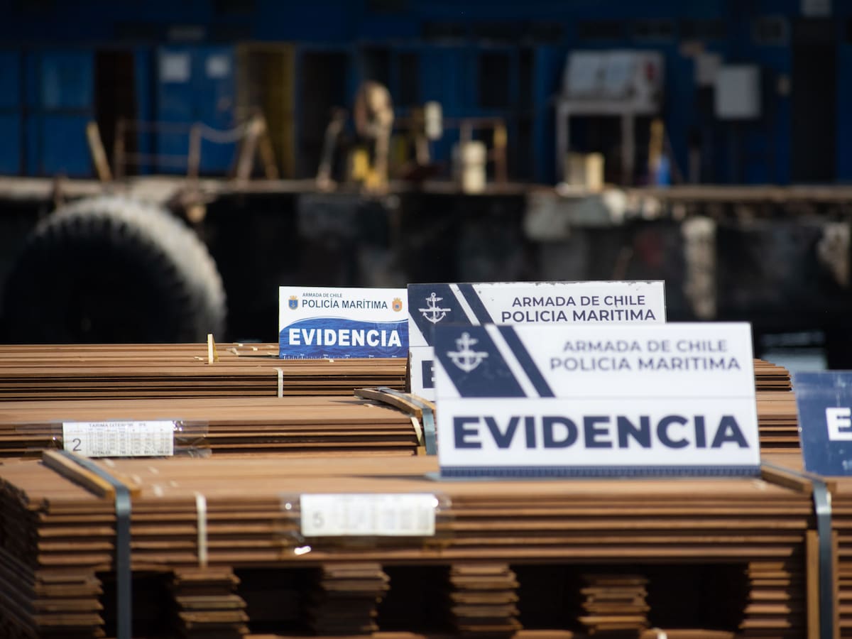 Informes del ISP abren dudas sobre histórica incautación de “narcomadera” proveniente de Bolivia