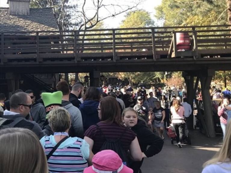 Apagón en Disneylandia deja atrapados a los turistas en las atracciones