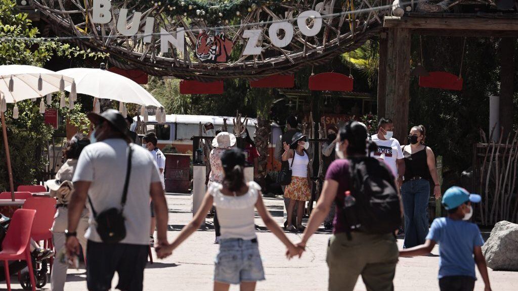 7 de enero 2022/SantiagoBuin Zoo presenta tres nuevas especies que se incorporan a los mas dos mil animales de este parque


FOTO: KARIN POZO/AGENCIAUNO