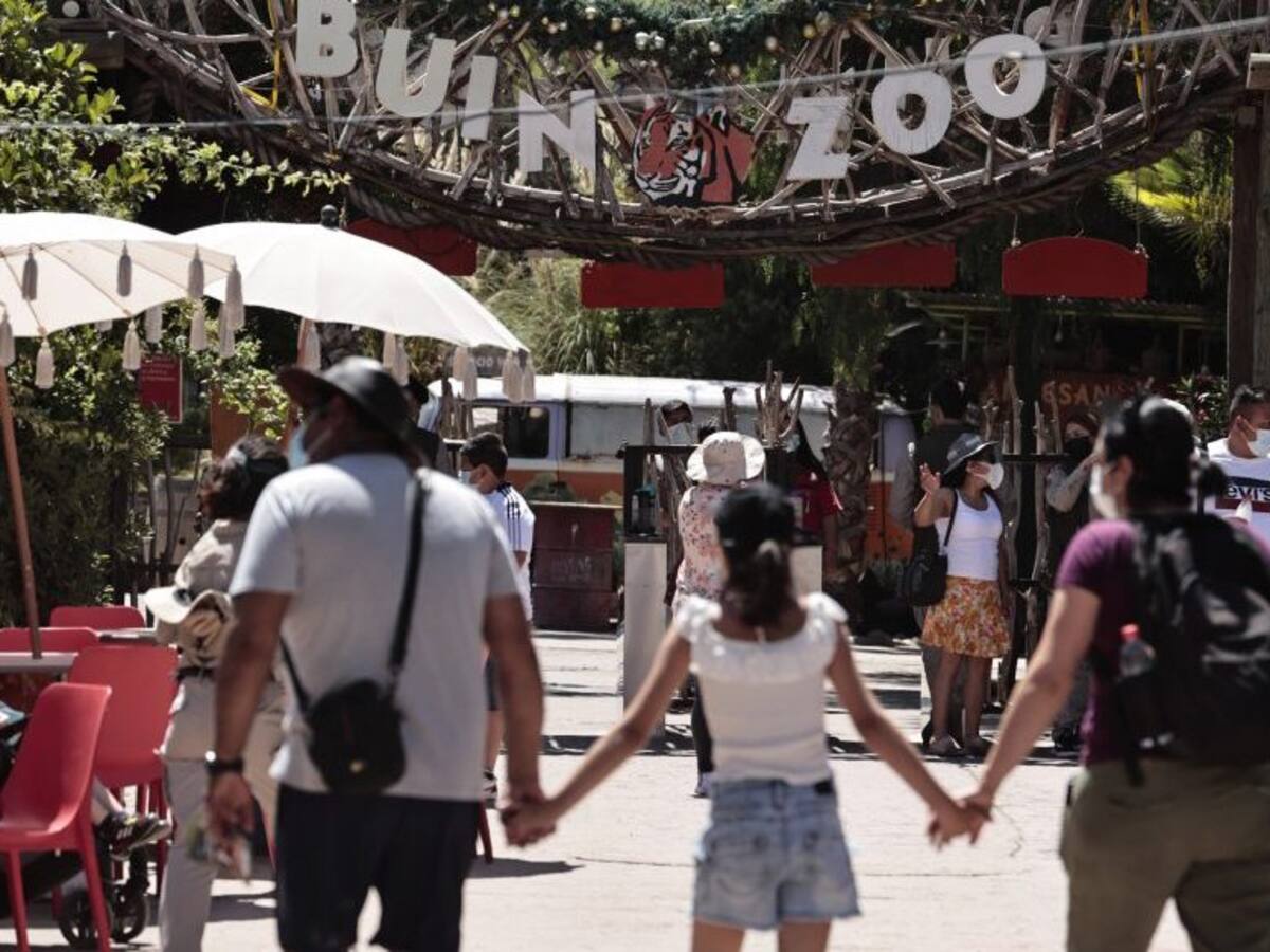 Los Imperdibles de ADN: Dinosaurios auto tour, Buin Zoo, nieve y cine al aire libre son los panoramas para este mes