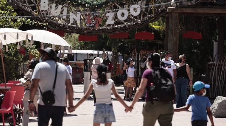 7 de enero 2022/SantiagoBuin Zoo presenta tres nuevas especies que se incorporan a los mas dos mil animales de este parque
FOTO: KARIN POZO/AGENCIAUNO