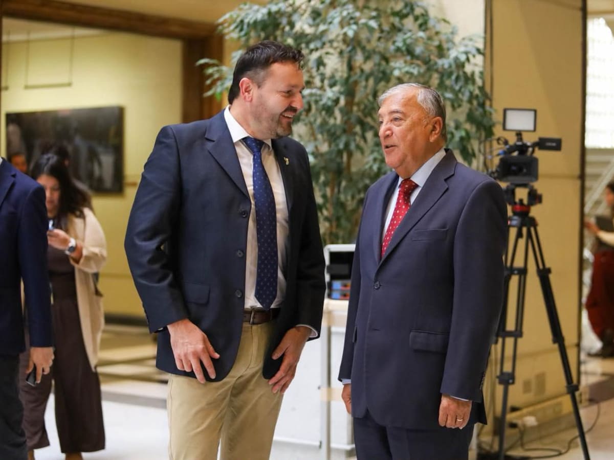 Tras cierre de gimnasios Energy: diputados ofician al Gobierno para proteger empleos ante quiebras de empresas