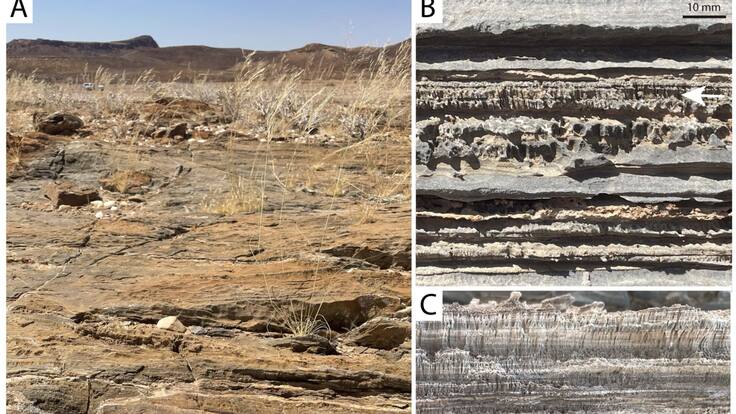 Increíble hallazgo: científicos descubren una nueva forma de vida microbiana en Namibia