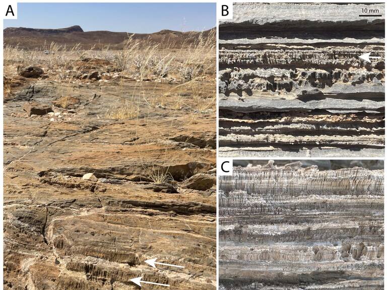 Increíble hallazgo: científicos descubren una nueva forma de vida microbiana en Namibia